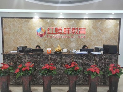 紅蟋蟀教育發(fā)展歷程 探索教育咨詢(xún)的創(chuàng)新之路