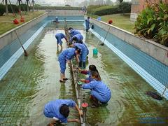 如何為常州工廠選擇合適的開(kāi)荒保潔公司