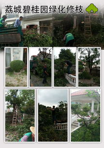 增城區(qū)工廠樓盤(pán)綠化修枝養(yǎng)護(hù)與物業(yè)管理