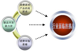 投資建筑涂料項(xiàng)目評(píng)估分析報(bào)告