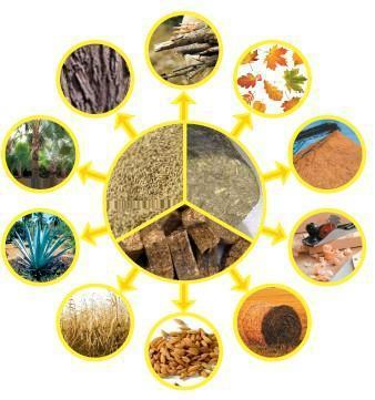 生物質能源 推動燃煤替代與能源轉型的核心力量