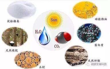 楹鼎掌握ESⅢ集成生物煉制技術背后的秘密——生物質能源的新時代